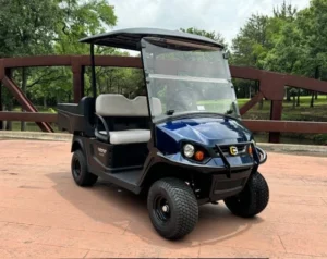 2025 Cushman Hauler 800 Elite 2 Passenger Lithium Ion Utility Carts for Sale 11 webp