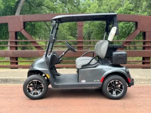 2025 E Z GO Freedom RXV Elite 2 Passenger Lithium Ion Golf Carts for Sale39 2 webp