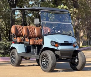 2025 E Z GO Liberty ELiTE 4 Passenger Lithium Golf Carts for Sale38 3 webp