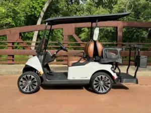 2025 E Z GO Valor 4 Passenger Lithium Ion Golf Carts for Sale43 12 webp