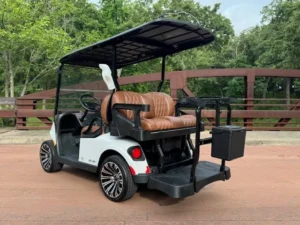 2025 E Z GO Valor 4 Passenger Lithium Ion Golf Carts for Sale43 8 webp