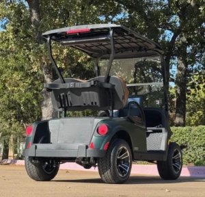 2026 E Z GO Freedom RXV Elite 2 Passenger HP Lithium Ion Golf Carts for Sale 5 webp