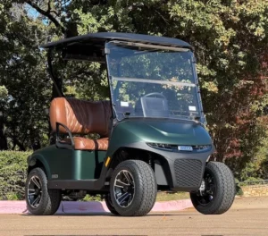 2026 E Z GO Freedom RXV Elite 2 Passenger HP Lithium Ion Golf Carts for Sale 7 webp