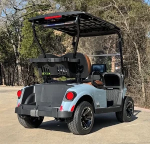 2026 E Z GO Freedom RXV Elite 2 Passenger Lithium Ion Golf Carts for SaleOcean Gray 6 webp