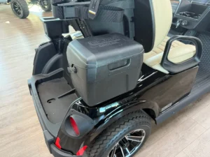2026 E Z GO RXV 2 Golf Cart for Sale Black11 webp